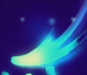 Main Musicians ★ Maneskin, VIOLA, Erin LeCount, Griff, 5SOS, Dove Cameron, Tate McRae, Chri$tian Gate$, Chappell Roan, Mckenna Grace